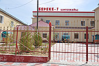 Береке- 7 люкс